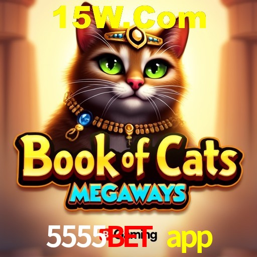 cassino 5555bet app
